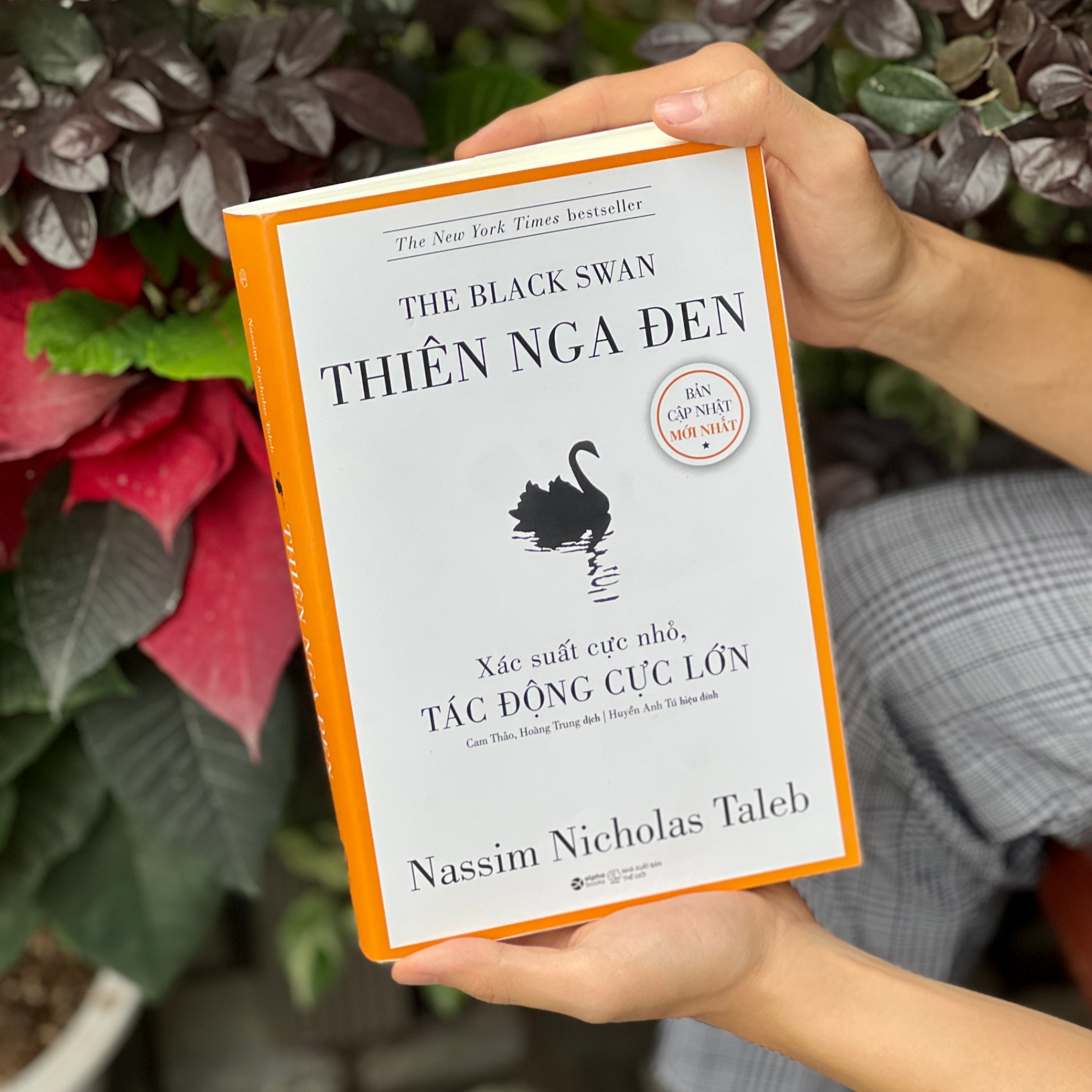 Hình ảnh thiên nga đen huyền bí